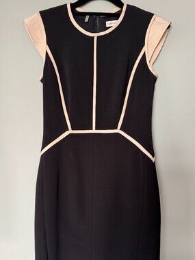 Rebecca Taylor Black & Blush Silk Trim Colorblock Sheath Dress Size 2